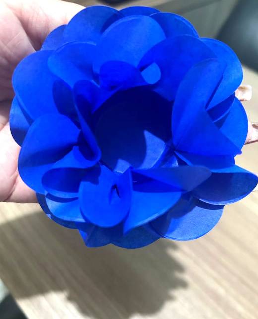 Modelo Camélia